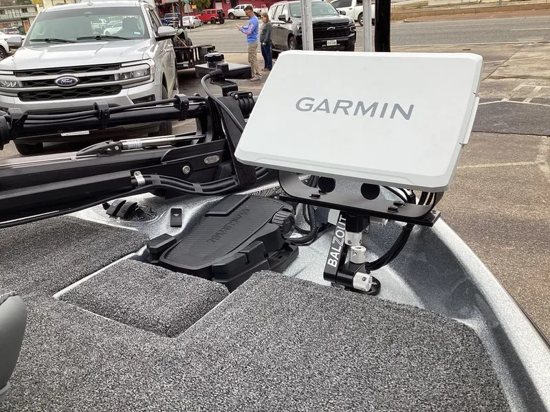 Slide: The Image of Bass Cat Eyra SP 2026 - 29