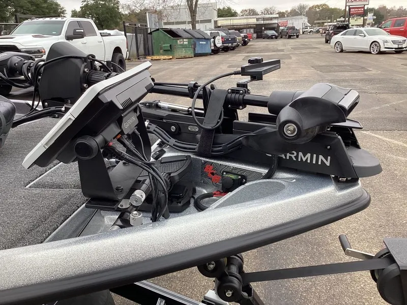 Slide: The Image of Bass Cat Eyra SP 2026 - 30