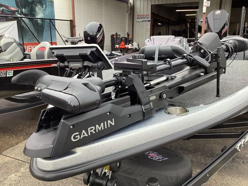 Slide: The Image of Bass Cat Eyra SP 2026 - 31