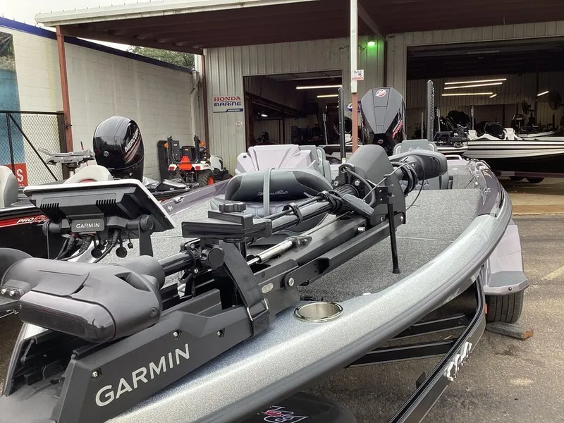 Slide: The Image of Bass Cat Eyra SP 2026 - 33