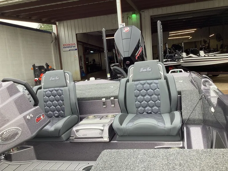 Slide: The Image of Bass Cat Eyra SP 2026 - 36