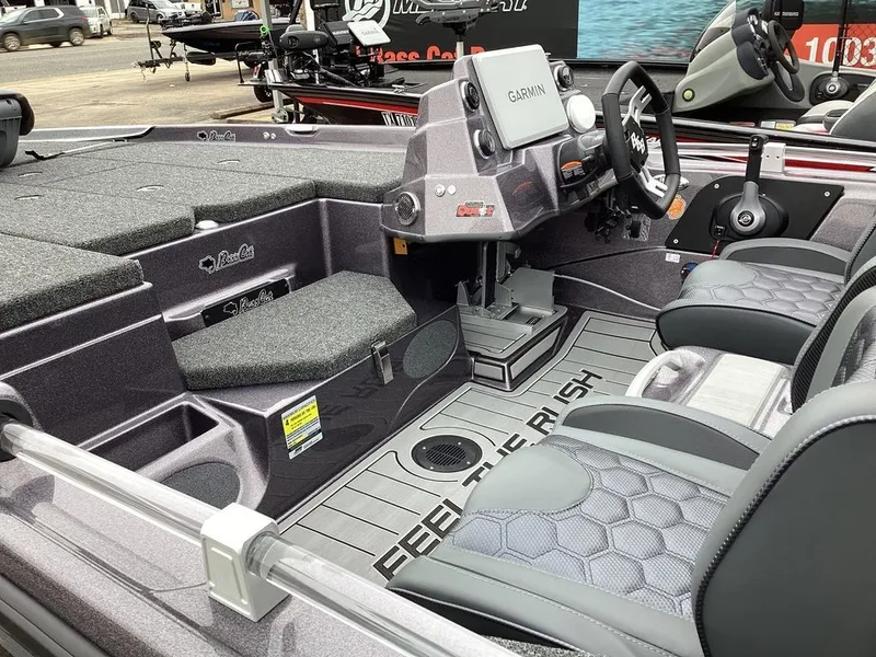 Slide: The Image of Bass Cat Eyra SP 2026 - 38