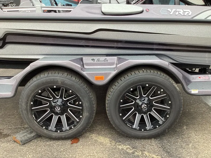 Slide: The Image of Bass Cat Eyra SP 2026 - 40