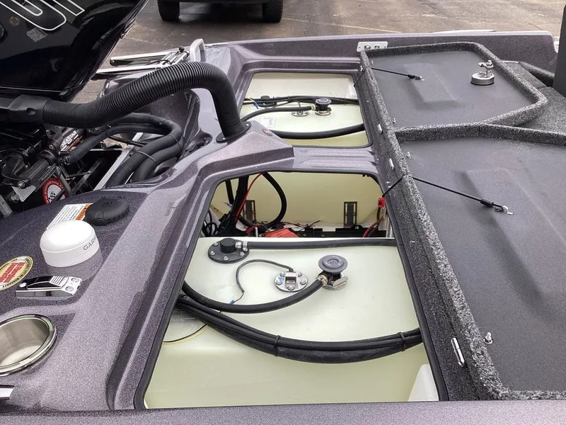 Slide: The Image of Bass Cat Eyra SP 2026 - 43