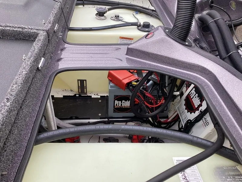 Slide: The Image of Bass Cat Eyra SP 2026 - 44