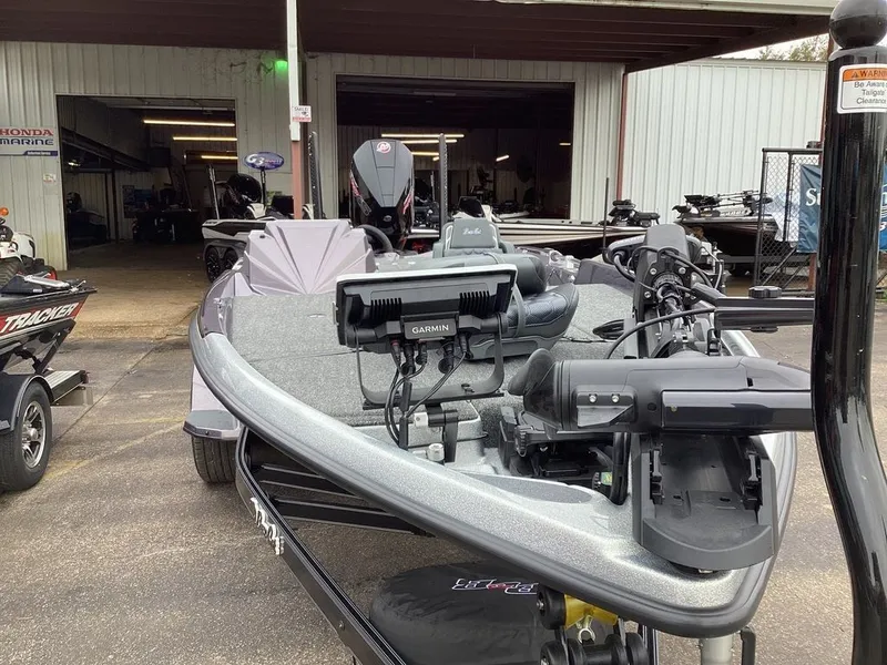 Slide: The Image of Bass Cat Eyra SP 2026 - 6