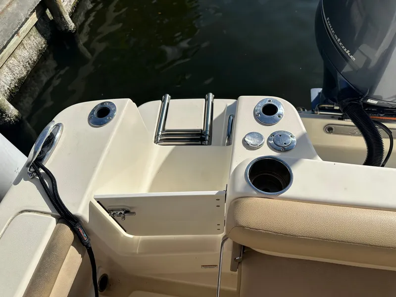 Slide: The Image of Scout 215 XSF 2019 - 15