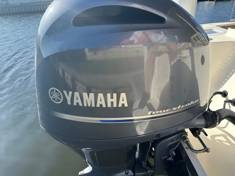 Slide: The Image of Scout 215 XSF 2019 - 22