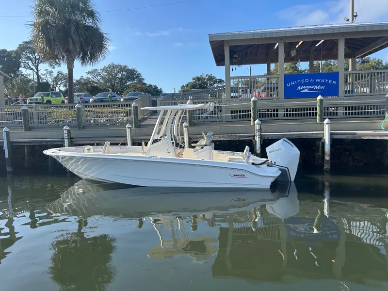 Slide: The Image of Boston Whaler 250 Dauntless 2026 - 1