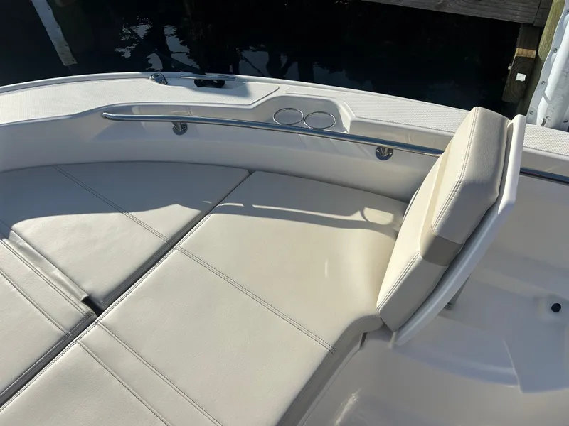 Slide: The Image of Boston Whaler 250 Dauntless 2026 - 21