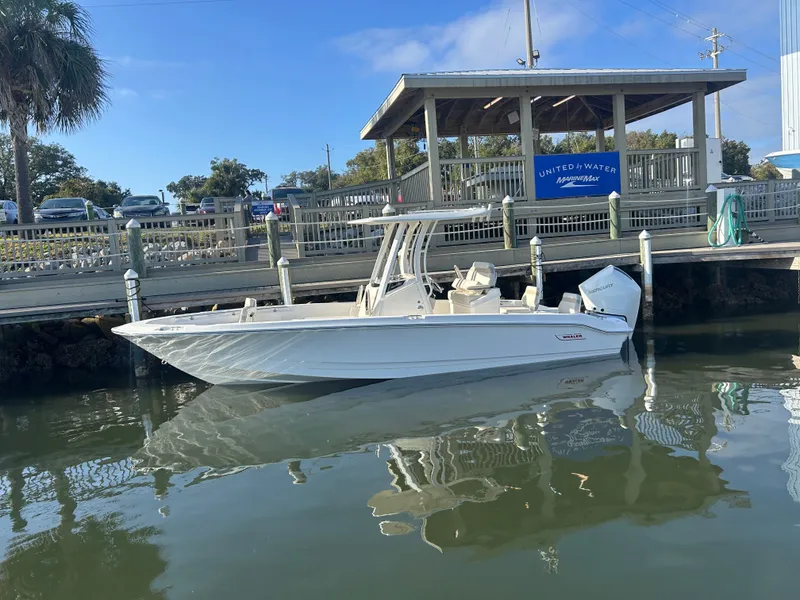 Slide: The Image of Boston Whaler 250 Dauntless 2026 - 3