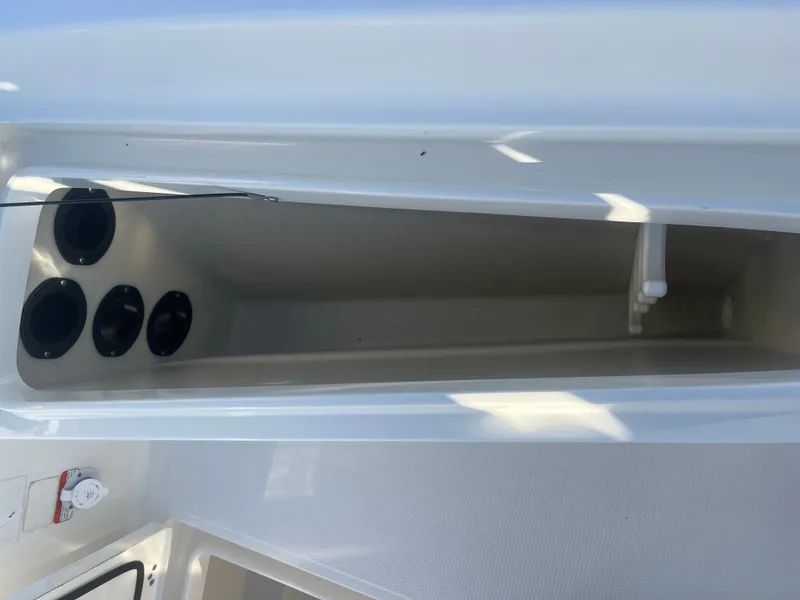 Slide: The Image of Mako cpx19 2017 - 14