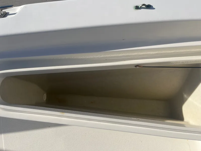 Slide: The Image of Mako cpx19 2017 - 17