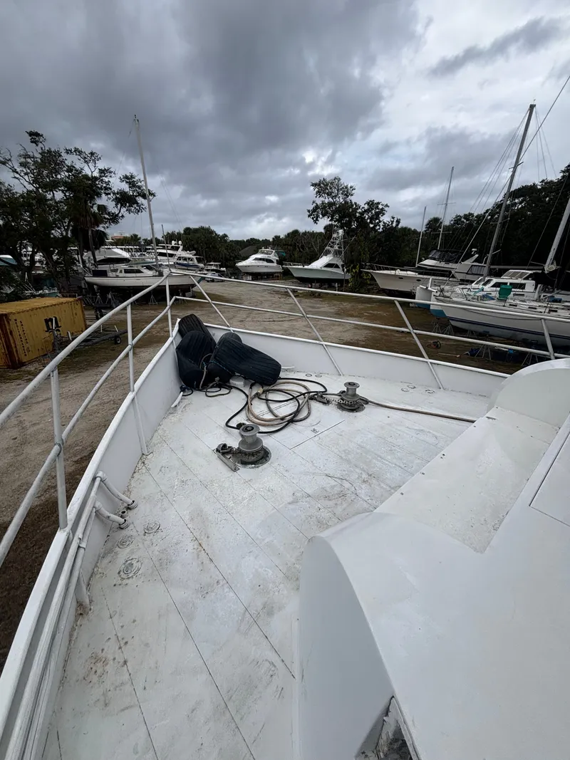 Slide: The Image of Pluckebaum 67 1984 - 15