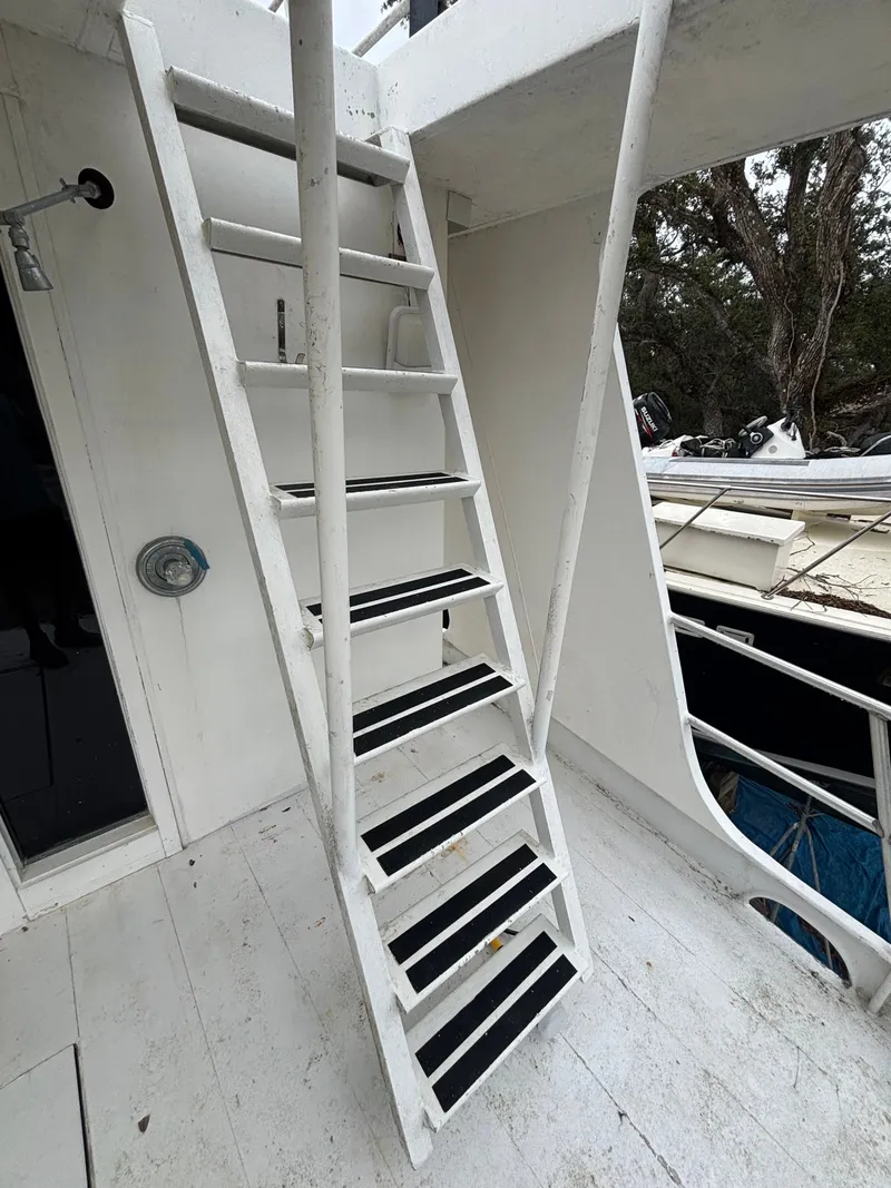 Slide: The Image of Pluckebaum 67 1984 - 19