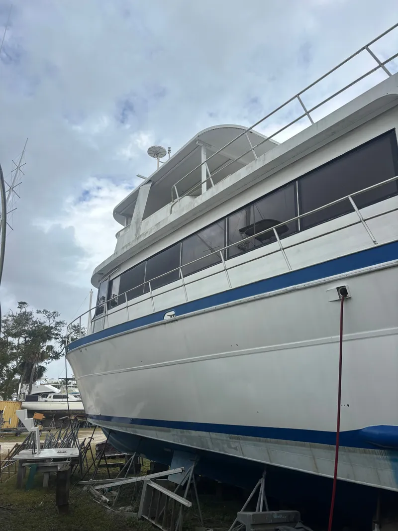 Slide: The Image of Pluckebaum 67 1984 - 2