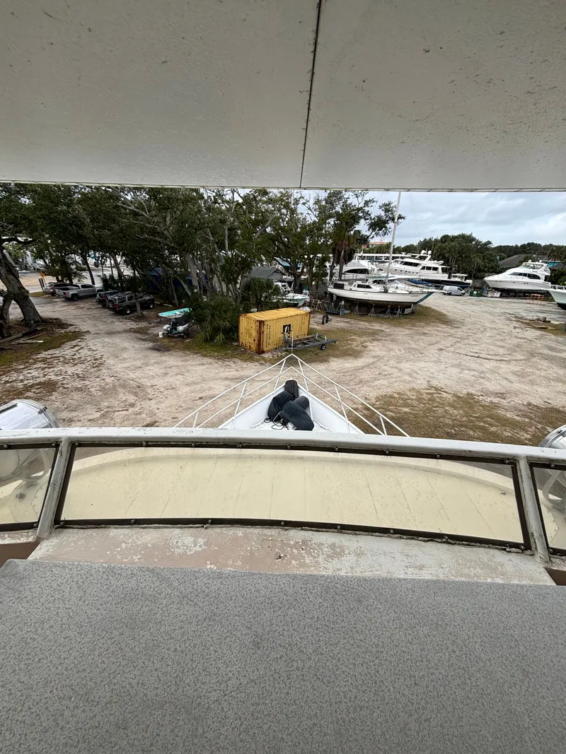 Slide: The Image of Pluckebaum 67 1984 - 24