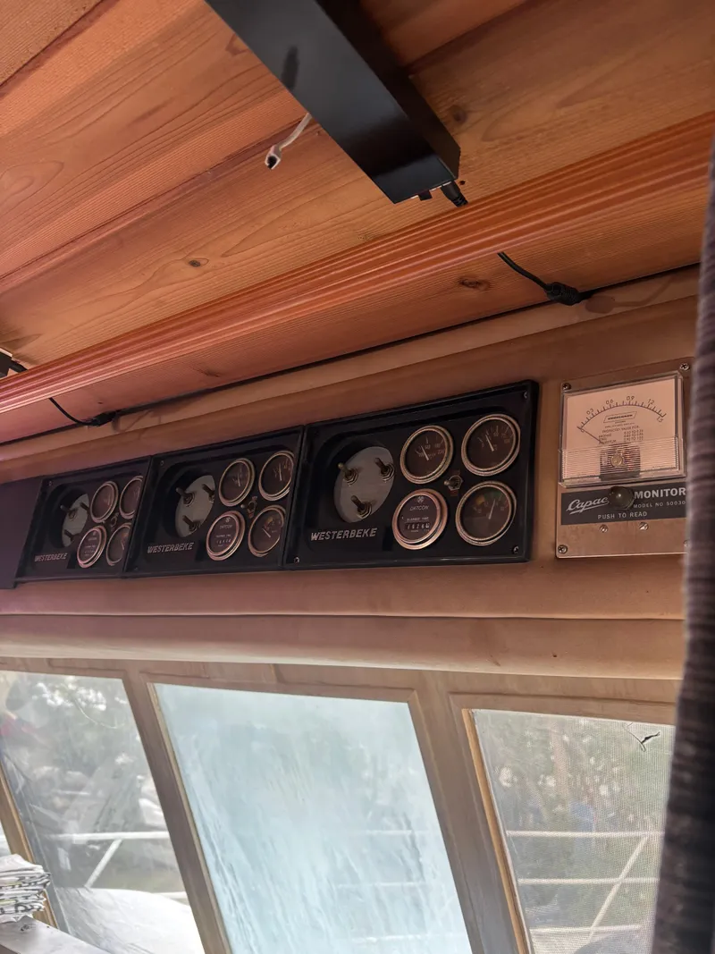 Slide: The Image of Pluckebaum 67 1984 - 39