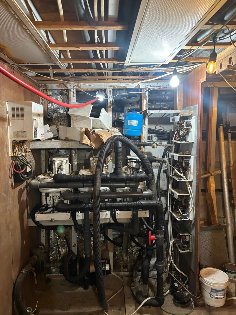 Slide: The Image of Pluckebaum 67 1984 - 45