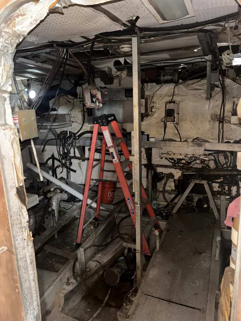 Slide: The Image of Pluckebaum 67 1984 - 47