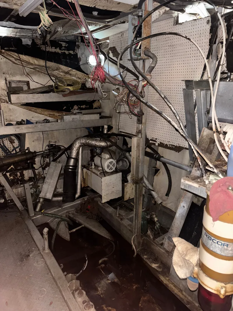 Slide: The Image of Pluckebaum 67 1984 - 48