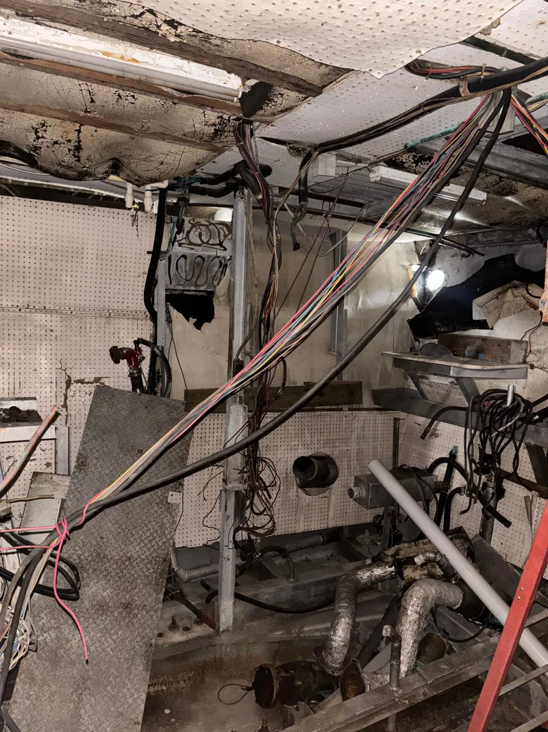 Slide: The Image of Pluckebaum 67 1984 - 49