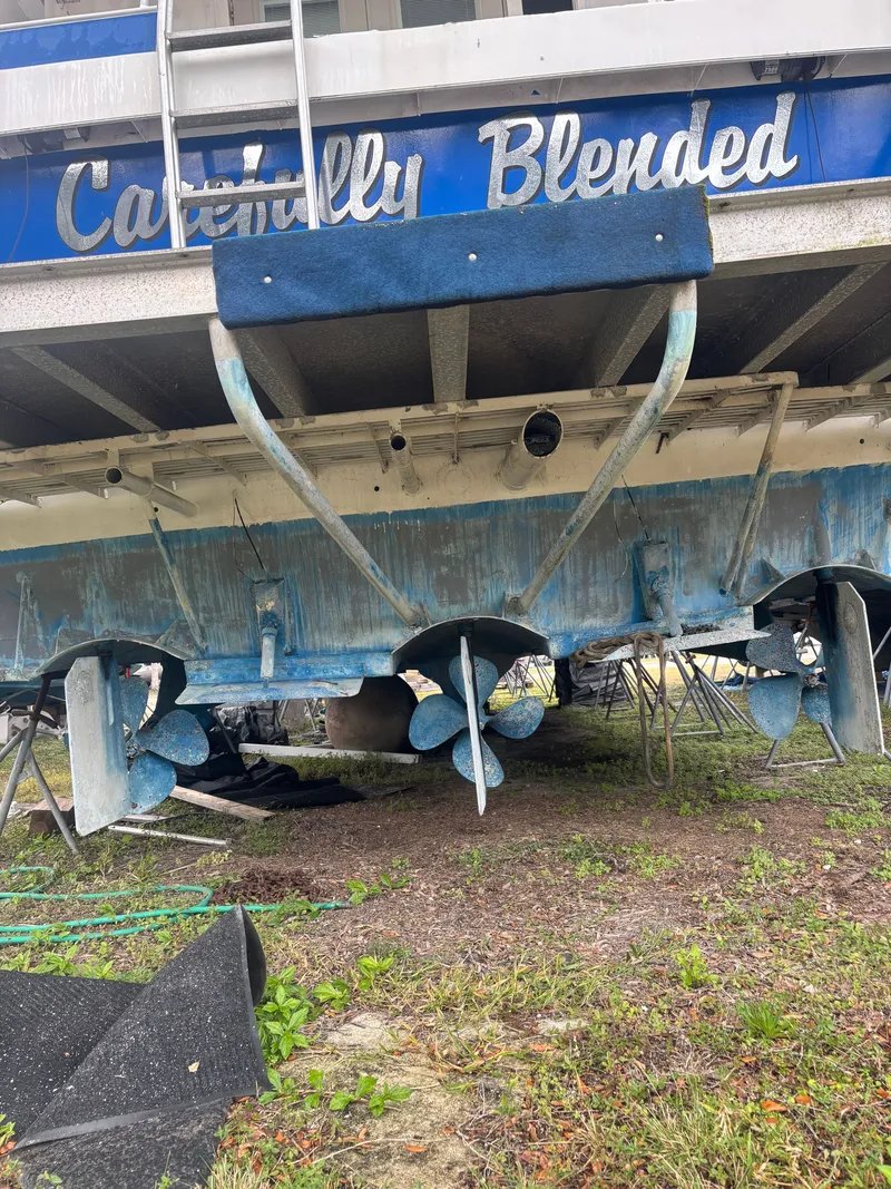 Slide: The Image of Pluckebaum 67 1984 - 5