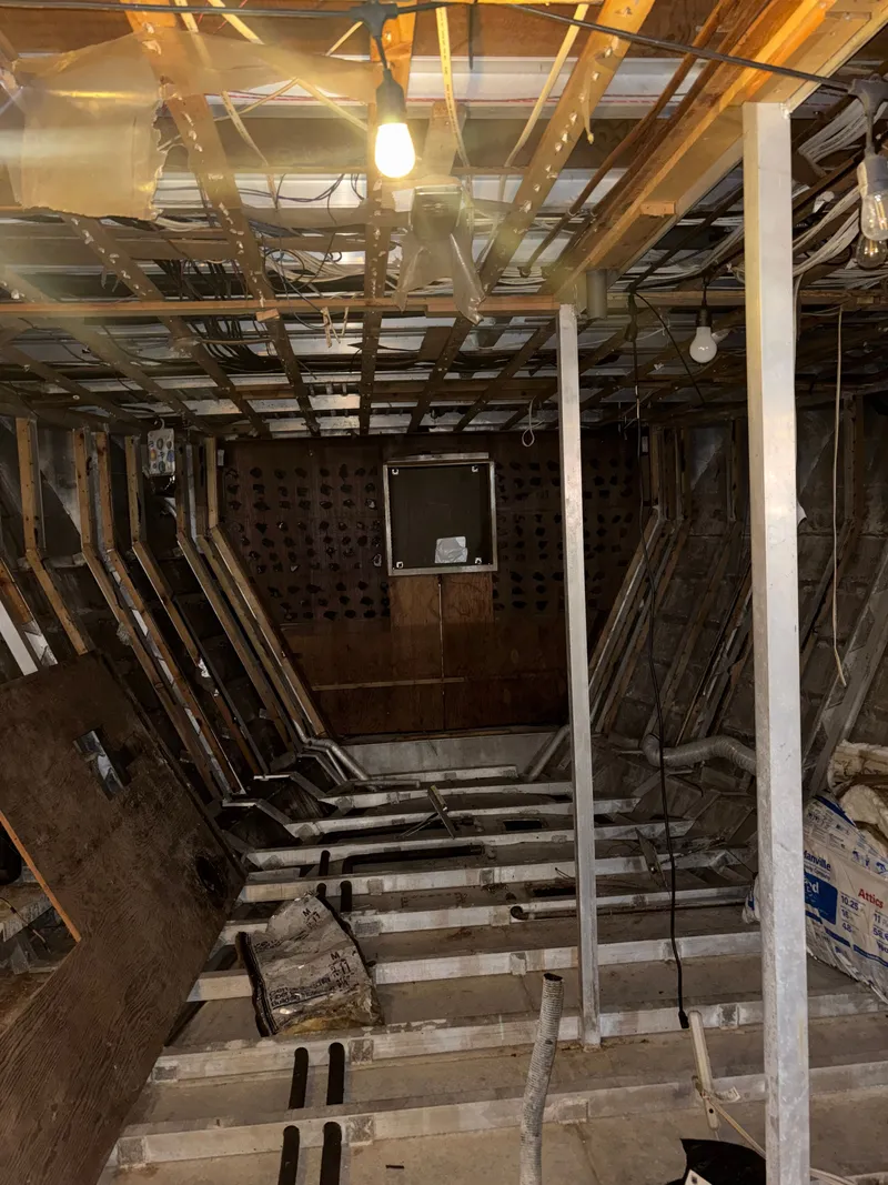 Slide: The Image of Pluckebaum 67 1984 - 50