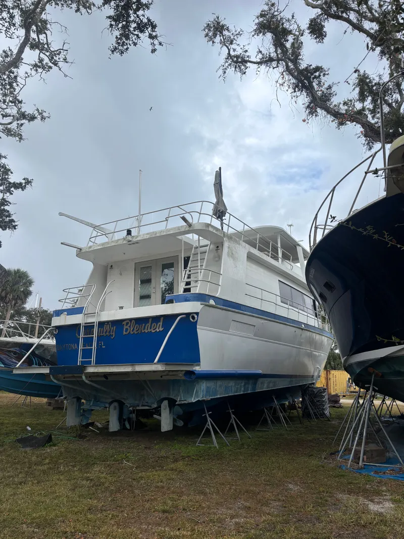 Slide: The Image of Pluckebaum 67 1984 - 6