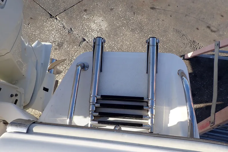 Slide: The Image of 2015 Pioneer 222 Venture boat ladder and motor detail. - 19