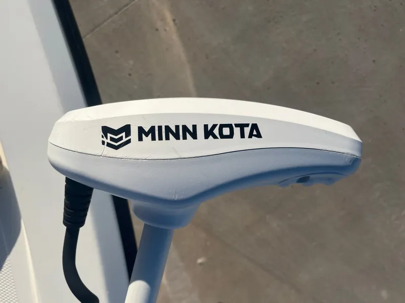 Slide: The Image of Mako cpx19 2017 - 19