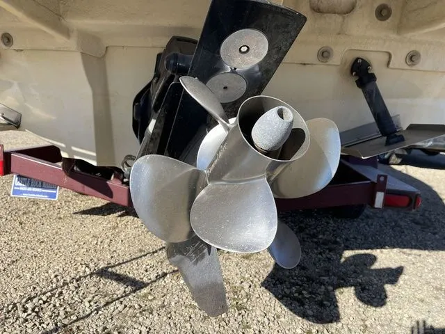 Slide: The Image of Sea Ray SUN DECK 260 2007 - 5