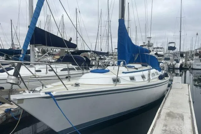 The Image of 1983 Ericson 381 sailboat docked in a marina with blue sail covers. - 1