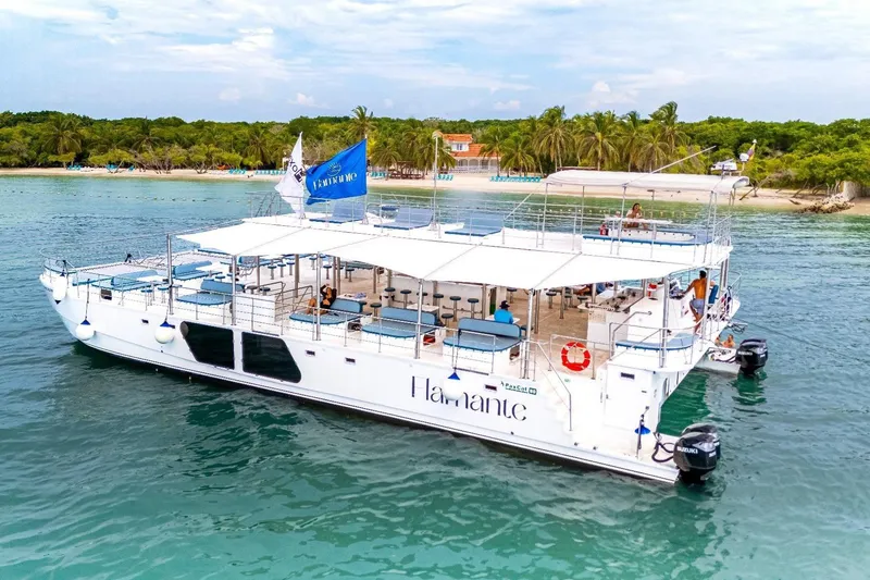 Slide: The Image of Custom PAXCAT 2027 boat near tropical beach with palm trees and clear blue water. - 8