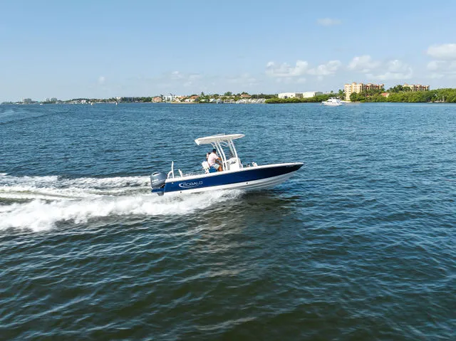 Slide: The Image of Robalo 226 Cayman 2026 - 23