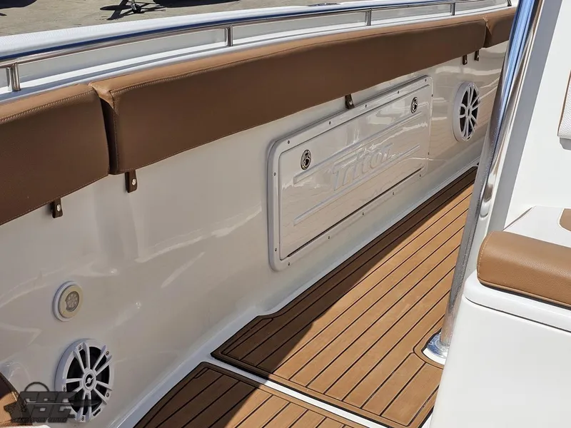 Slide: The Image of Triton 351 CC 2007 - 87