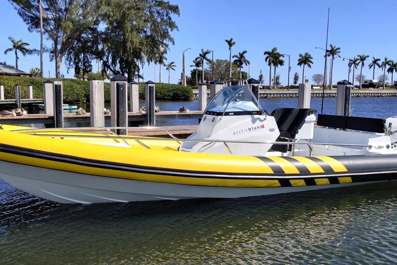 Slide: The Image of Yellow Arctic Blue 29 boat docked by palm trees, 2019 model. - 2