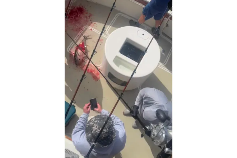 Slide: The Image of Fishing scene on 1987 Hatteras 52 Convertible boat with caught fish on deck. - 90