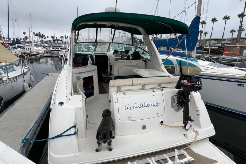 Slide: The Image of 2000 Monterey 302 Cruiser docked at marina with small dog on deck. - 14