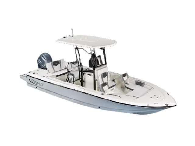 Slide: The Image of 2024 Robalo 226 Cayman boat with T-top and outboard motor. - 30