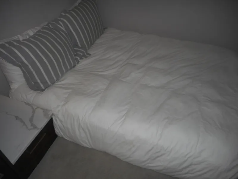 Slide: The Image of Cozy bed with white comforter and striped pillows in Adonia Pace Share #8, 2021 model. - 9