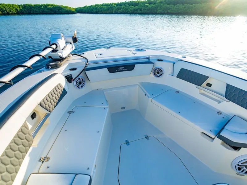 Slide: The Image of Cobia 245 Center Console 2026 - 11