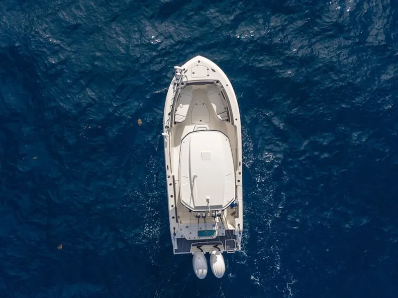 Slide: The Image of Cobia 245 Center Console 2026 - 6