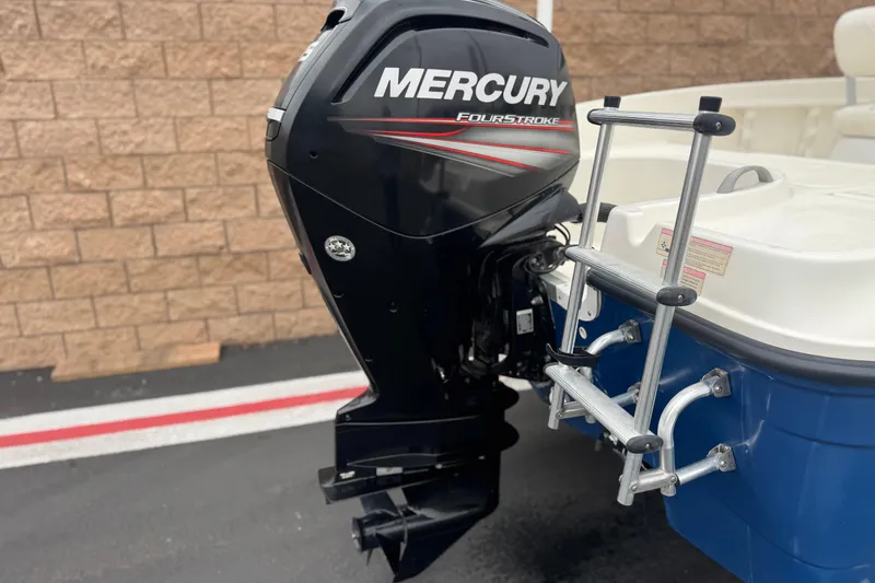 Slide: The Image of 2017 Bayliner Element F18 with Mercury FourStroke outboard motor and ladder. - 6