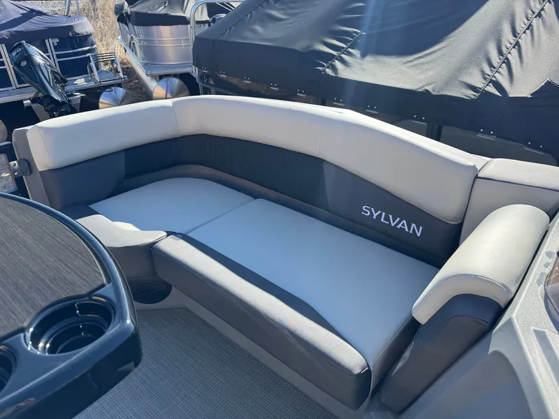 Slide: The Image of Sylvan R-20 PARTY FISH 2026 - 6