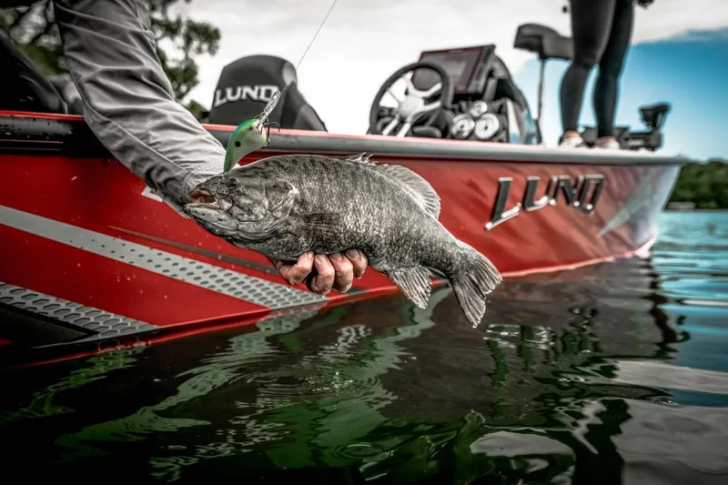 The Image of Lund 1875 PRO-V B/XS 2026 - 1