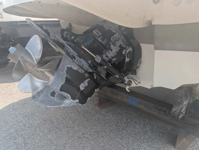 Slide: The Image of Sea Ray 240 Sundeck 2008 - 21