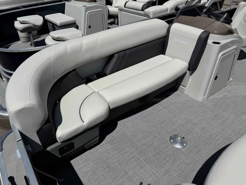 Slide: The Image of Sylvan MIR 822 PF 2025 - 4