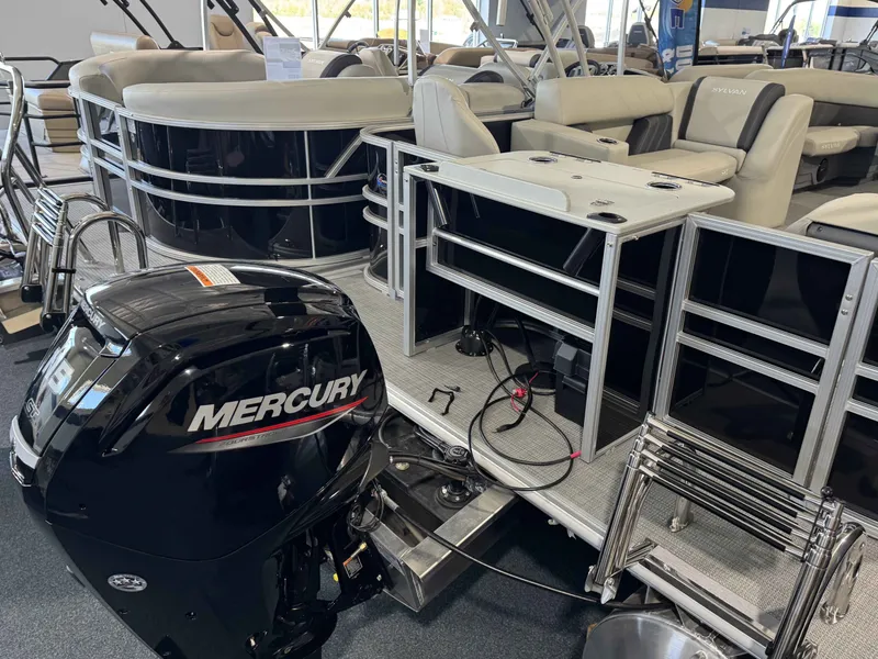 Slide: The Image of Sylvan MIR 8520 PF 2025 - 12