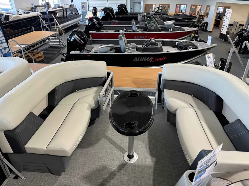 Slide: The Image of Sylvan MIR 8520 PF 2025 - 4